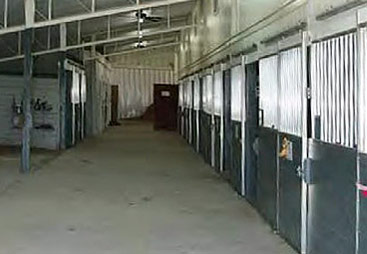 Row of Stalls for Horses in Barn