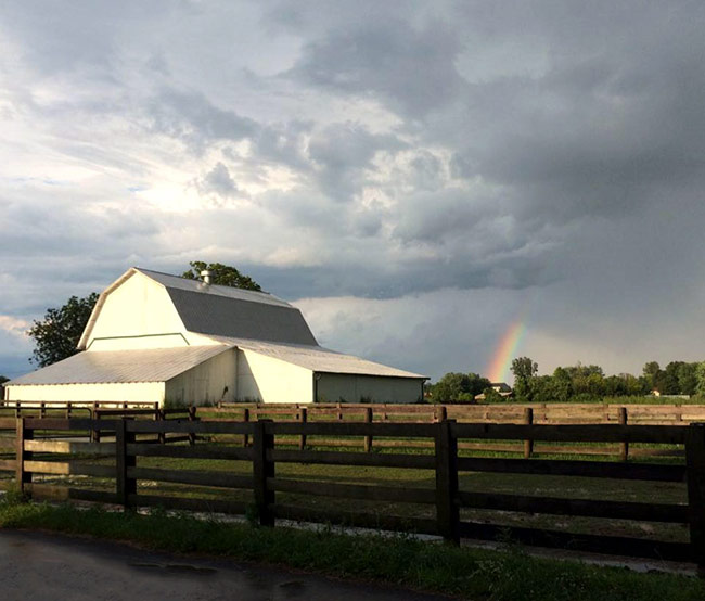 View of Large Barn for Stall Boarding