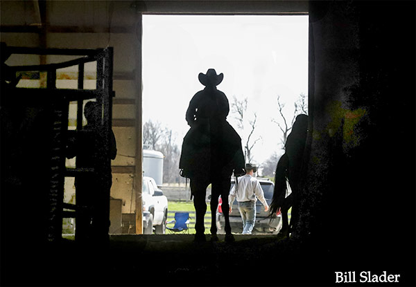 Horse Leaving Barn on Event Day